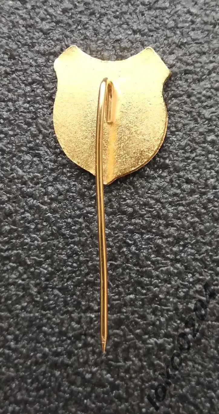 ФК ХИМНАСИА де Хухуй - GIMNASIA Y ESGRIMA, San Salvador de Jujuy - АРГЕНТИНА. 1