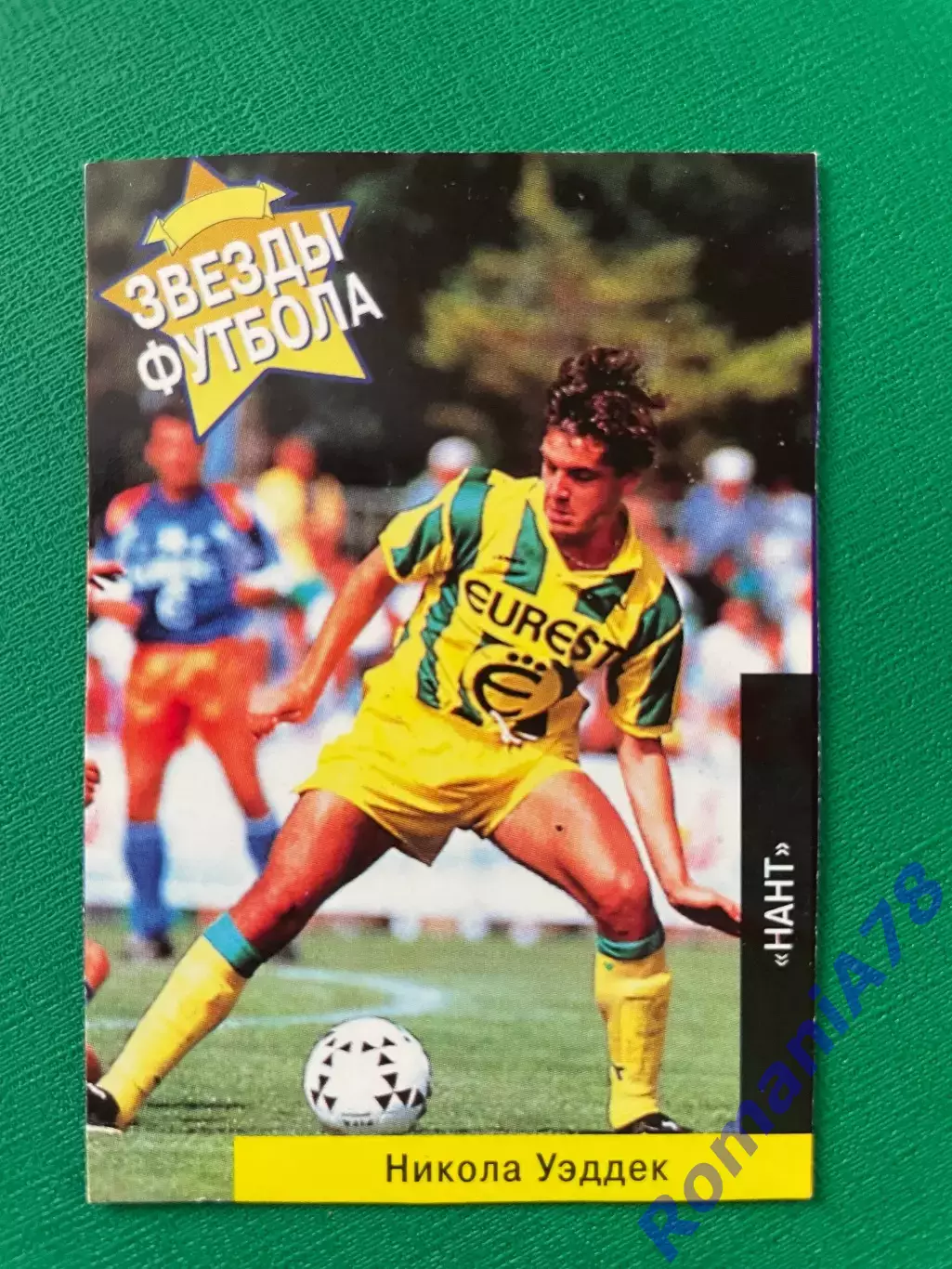 Карточка PANINI Зірки футболу 1996: №29