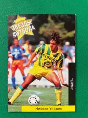 Карточка PANINI Зірки футболу 1996: №29