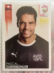 Panini UEFA Euro Austria-Switzerland 2008 Наклейка 71