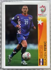 Panini UEFA Euro Austria-Switzerland 2008 Наклейка 523