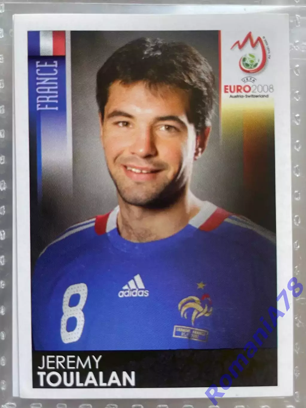 Panini UEFA Euro Austria-Switzerland 2008 Наклейка 348