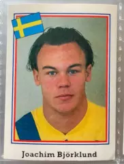 Наклейка 118 Panini Euroflash World Cup USA 1994