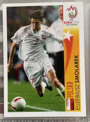 Panini UEFA Euro Austria-Switzerland 2008 Наклейка 487