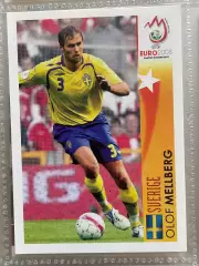 Panini UEFA Euro Austria-Switzerland 2008 Наклейка 477