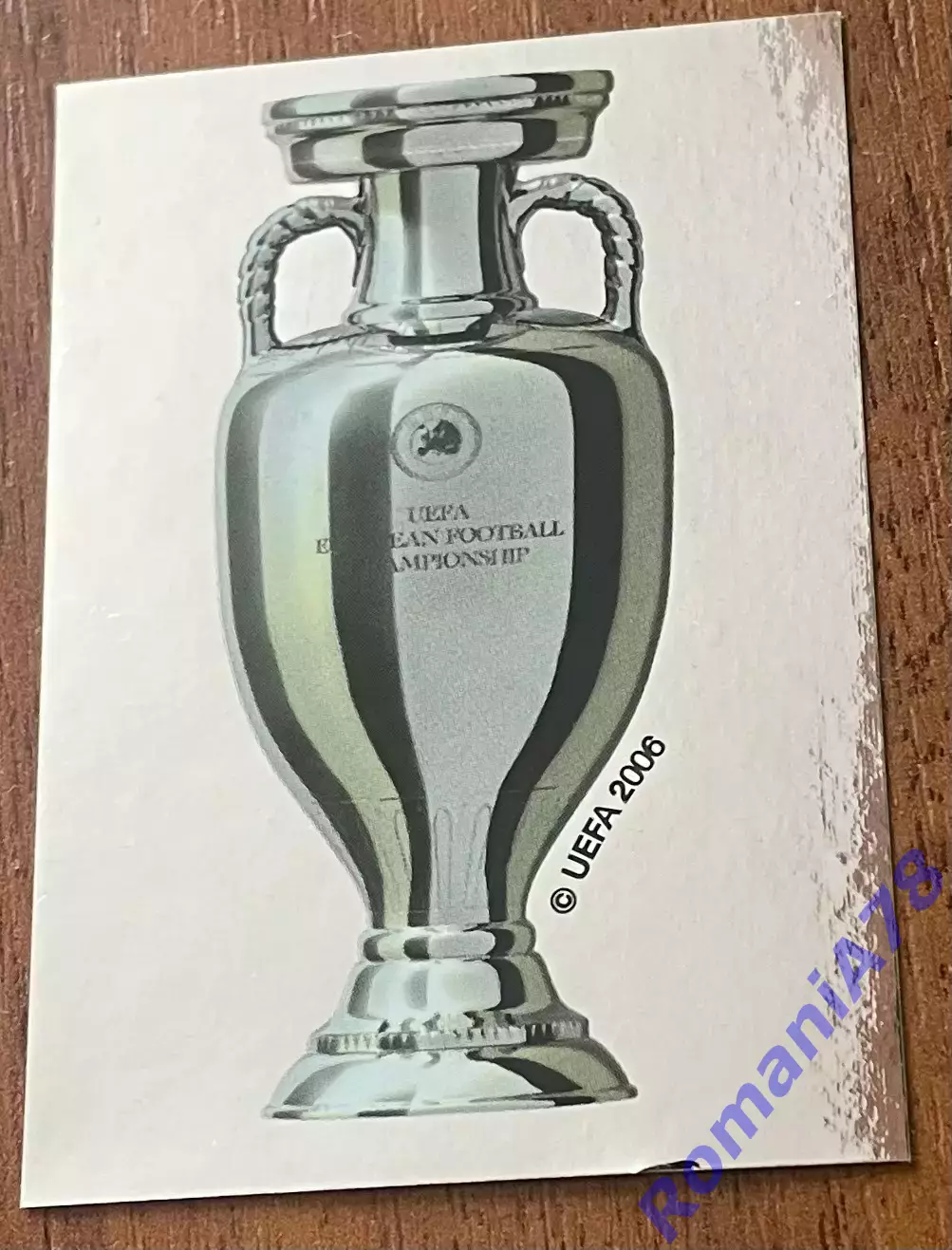 Panini UEFA Euro Austria-Switzerland 2008 Наклейка 3