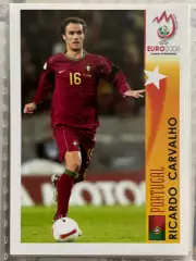 Panini UEFA Euro Austria-Switzerland 2008 Наклейка 469