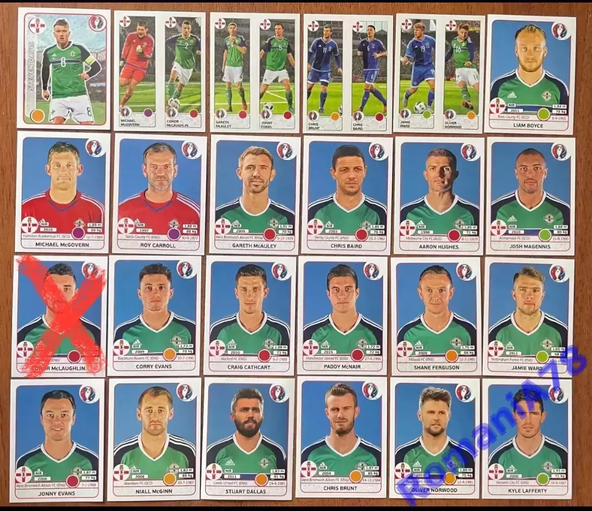 Футбол.Наклейки.П.Ірландія .Panini UEFA Euro France 2016