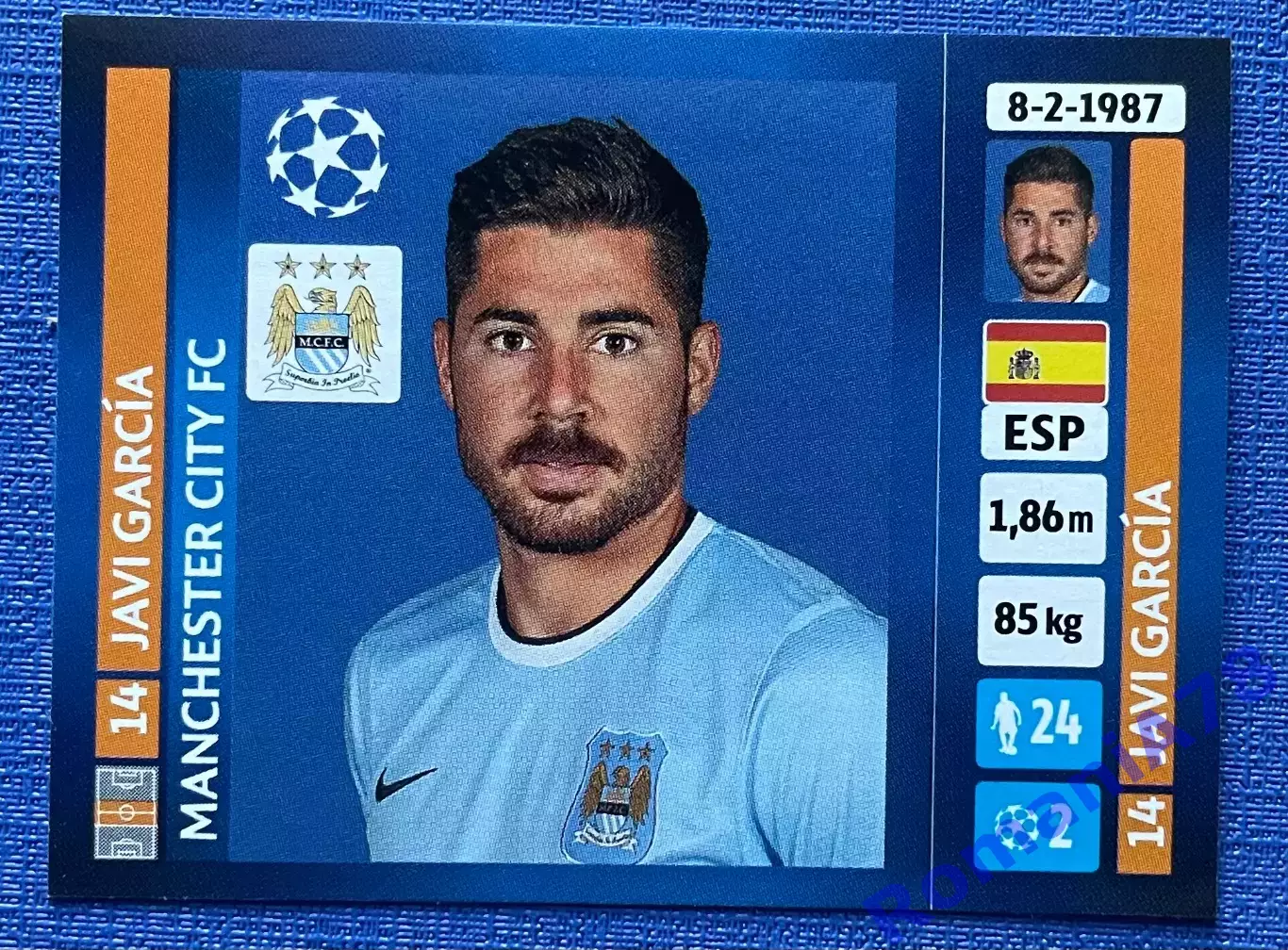 Panini UEFA Champions League 2013-2014 274