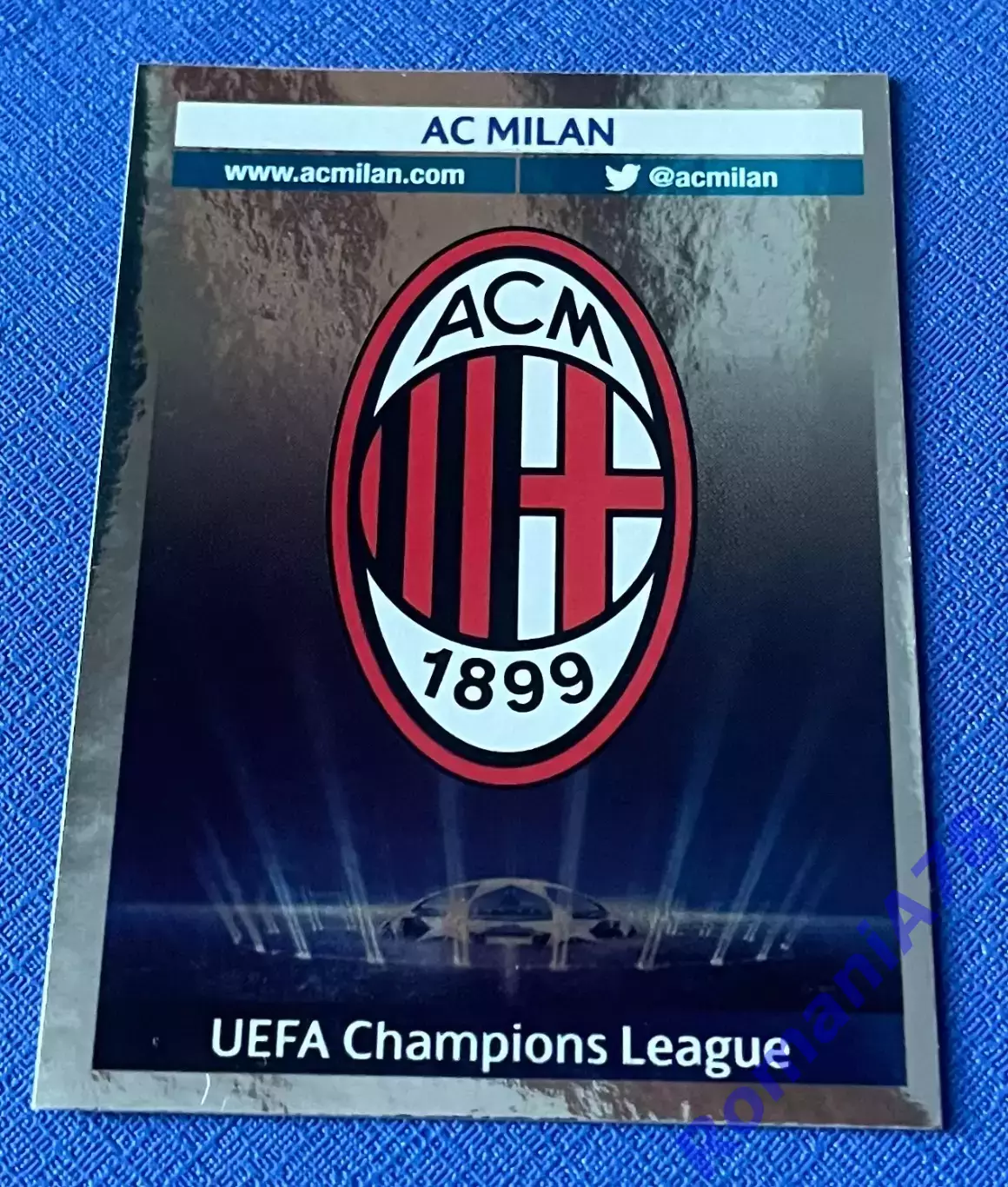 Panini UEFA Champions League 2013-2014 562
