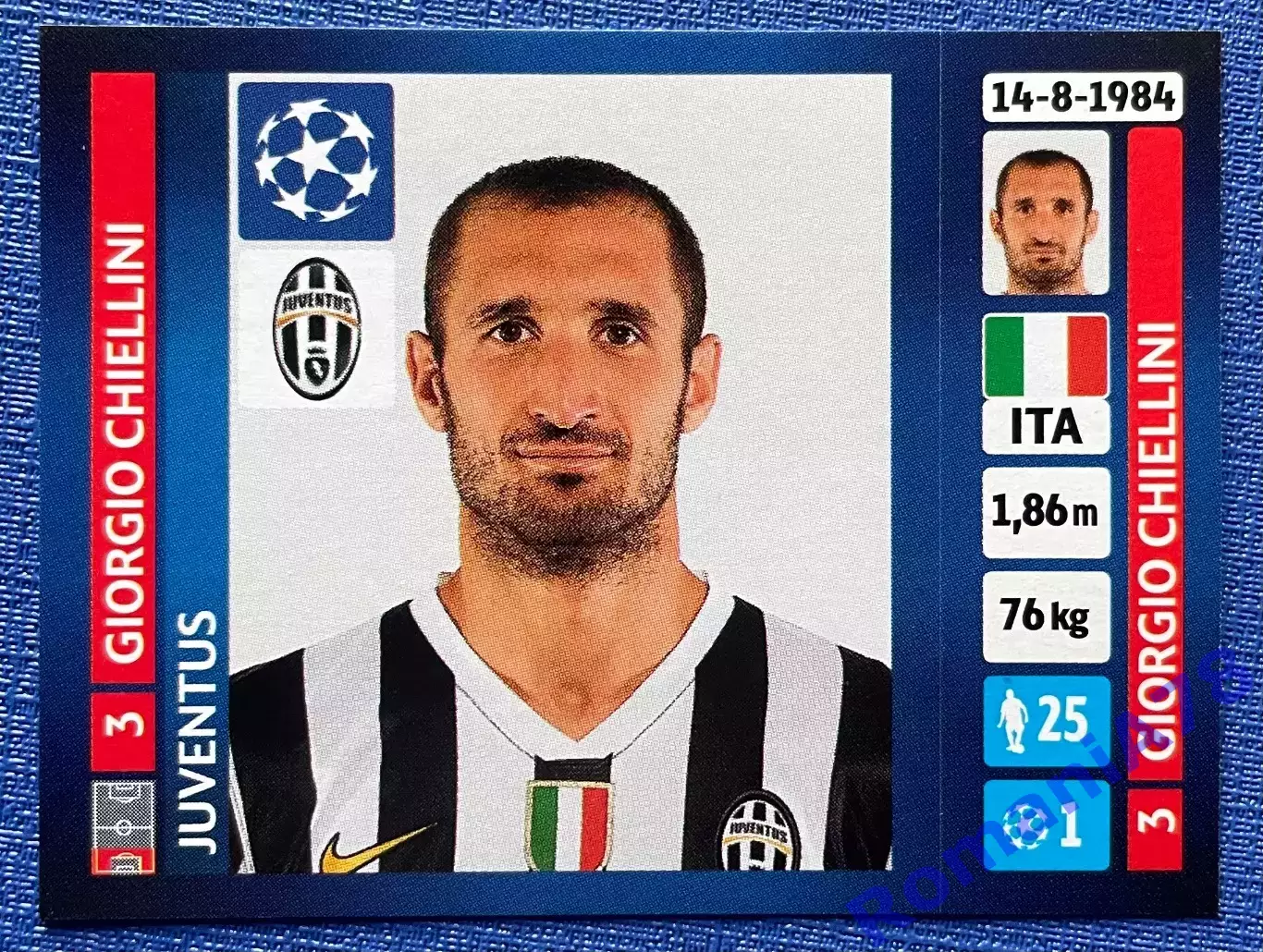 Panini UEFA Champions League 2013-2014 102