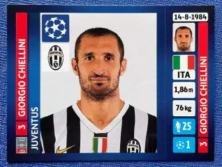 Panini UEFA Champions League 2013-2014 102