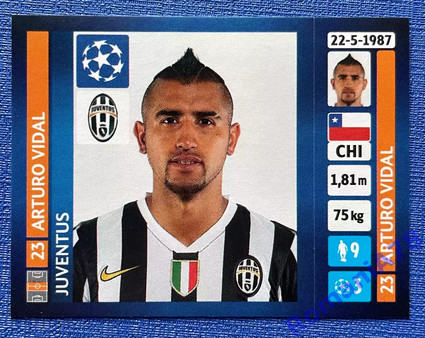 Panini UEFA Champions League 2013-2014 104