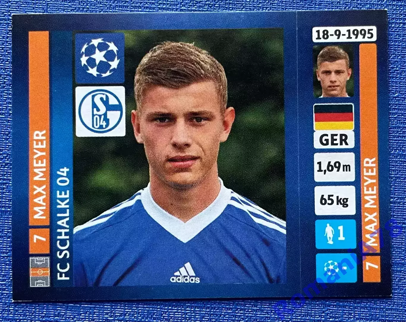 Panini UEFA Champions League 2013-2014 362