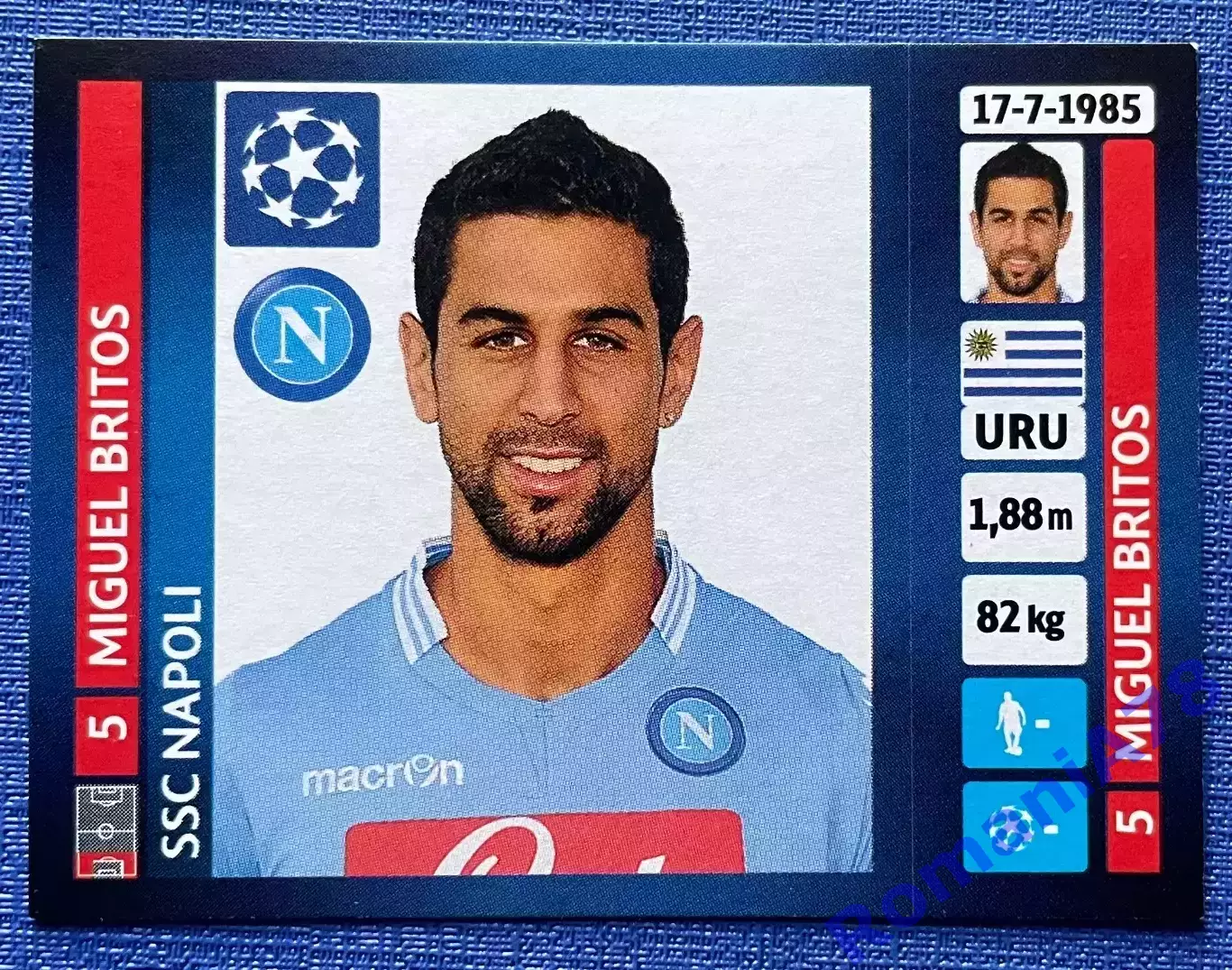 Panini UEFA Champions League 2013-2014 458