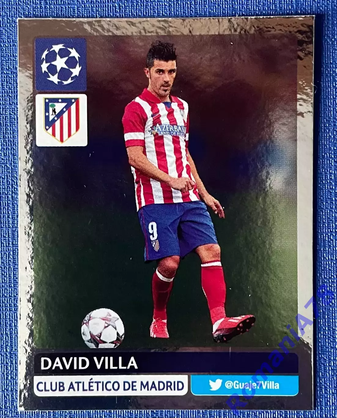 Panini UEFA Champions League 2013-2014 299