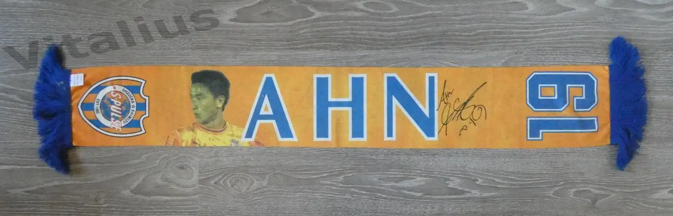 Шарф Симидзу С-Палс Япония Shimizu S-Pulse именной №19 AHN