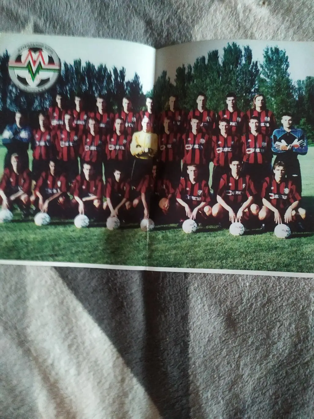 Программа Металлург Лидс 3