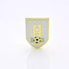 Значок Федерация футбола Уругвая