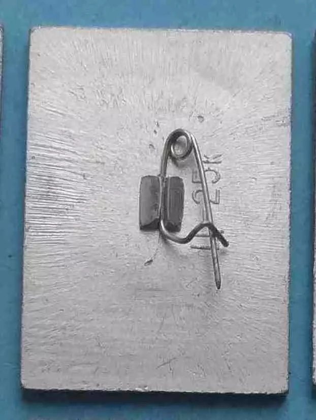 Певчие птицы Большой чекан Почта СССР 1981 Ситалл (63) 1