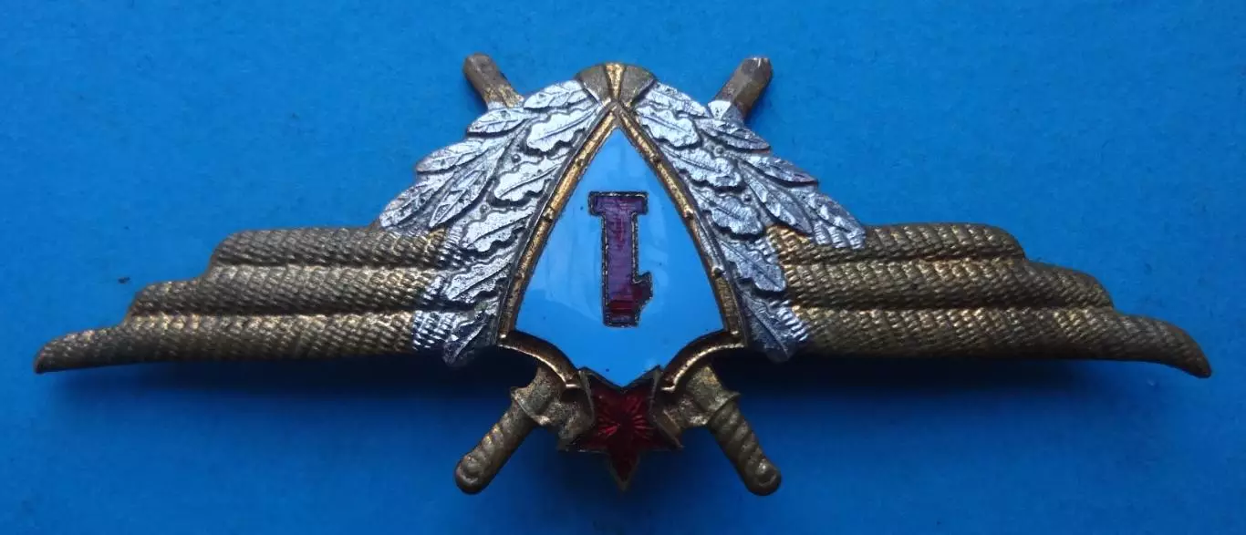 Военный летчик 1-го класса образца 1959 года Классная квалификация (63) 2