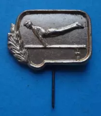 Виды спорта Гимнастика брусья веточки (63)