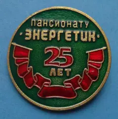 25 лет пансионату Энергетик (63)