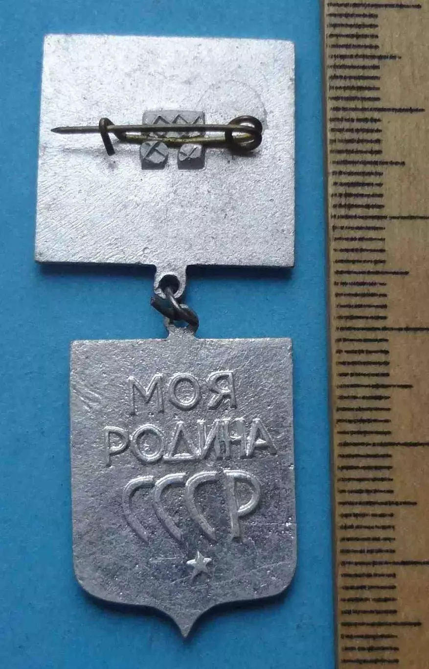 Моя родина СССР турист ВЛКСМ 2 степень синий (64) 2