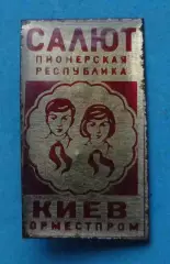 Салют Пионерская республика Киев Горместпром пионерия (64)
