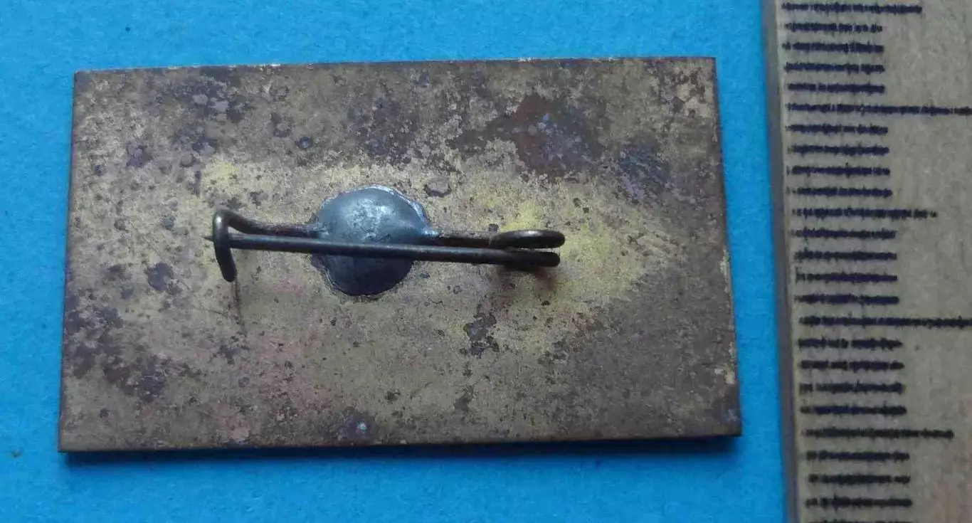 За активное участие в пионерской жизни лагеря Маяк пионерия (64) 2