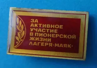 За активное участие в пионерской жизни лагеря Маяк пионерия (64)