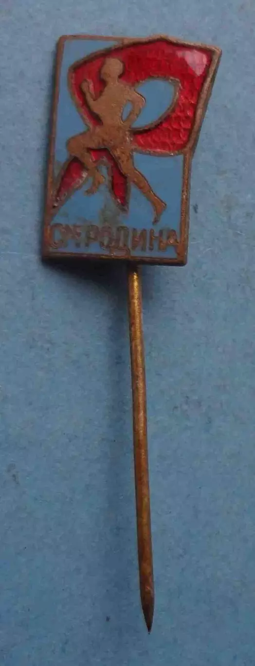 СМ Родина пионерия (64)