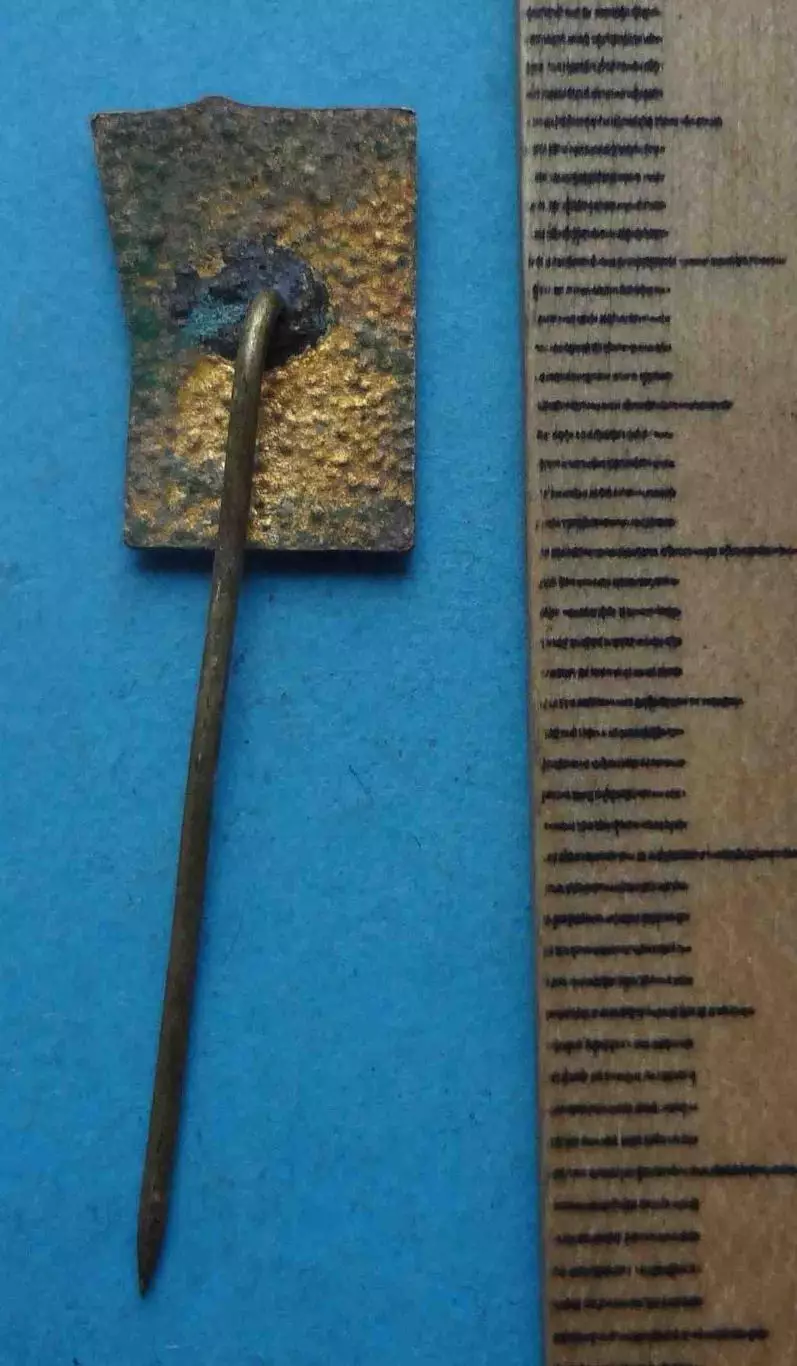 СМ Родина пионерия (64) 3