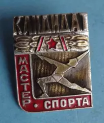 Кандидат Мастер спорта Гимнастика (64)