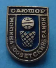 СДЮШОР Москва Советский район Баскетбол спортшкола (65)