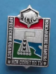 Брестский областной совет по туризму и экскурсиям Зубр (65)