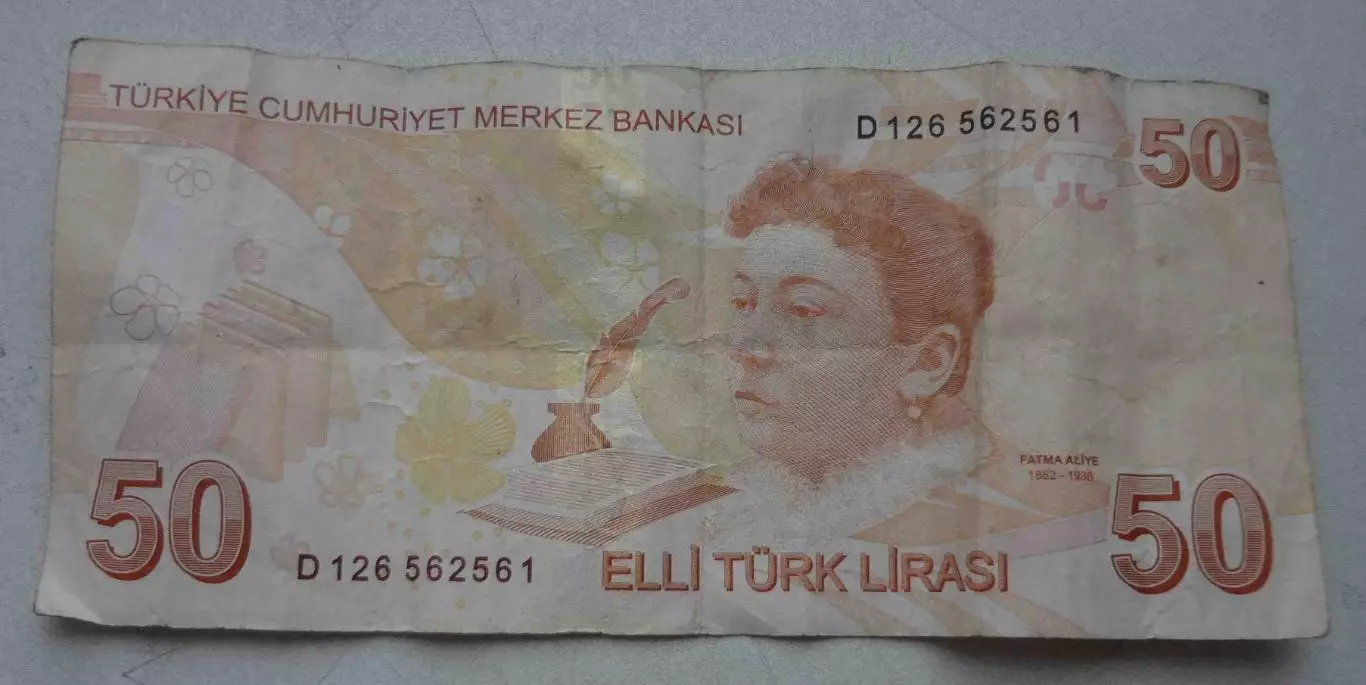 50 турецких лир 2009 года (65) 1