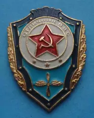 Отличник ВВС легкий Военно-воздушные силы Армия (66)