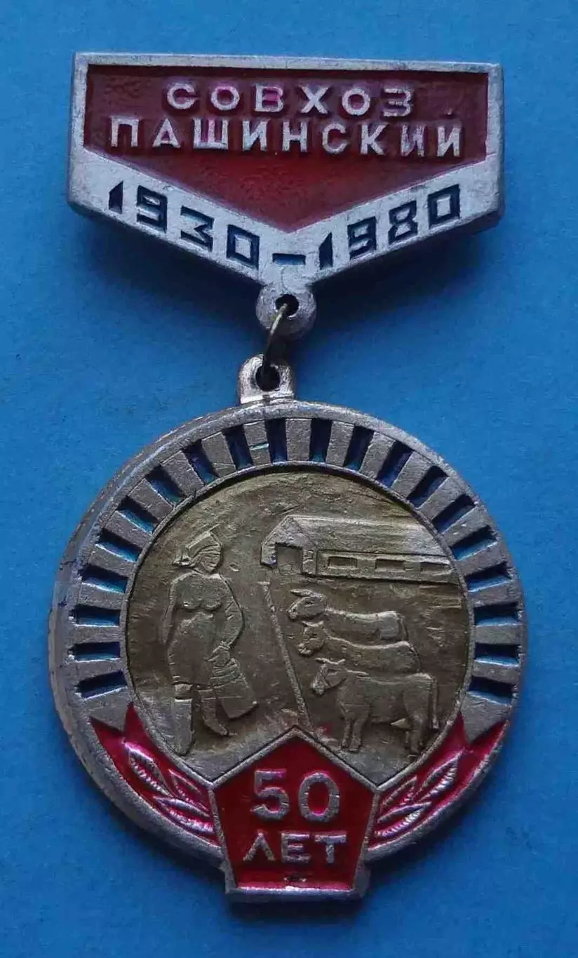50 лет Совхоз Пашинский 1930-1980 коровы (66)