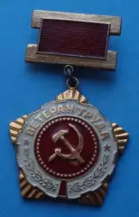 Ветеран труда СиМ подвесной ЩЗ (66)