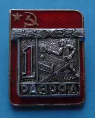 1 разряд Настольный теннис ЭПРК накладной (67)