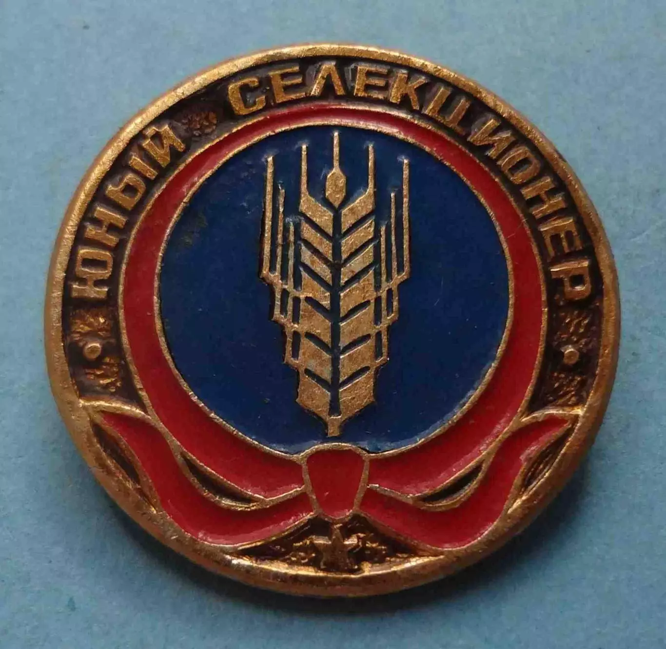 Юный селекционер Пионерия (70)