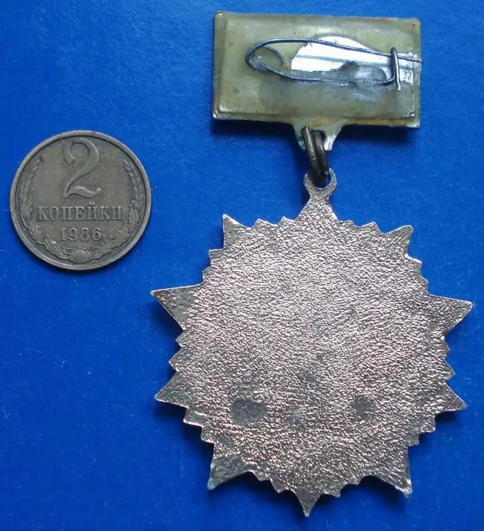 5 ударная армия За нашу советскую родину ветеран 1