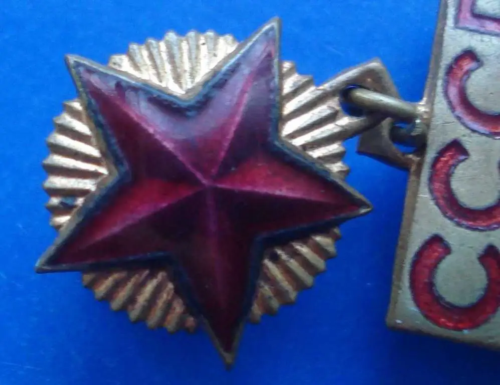 инструктор общественник СССР тяж 2