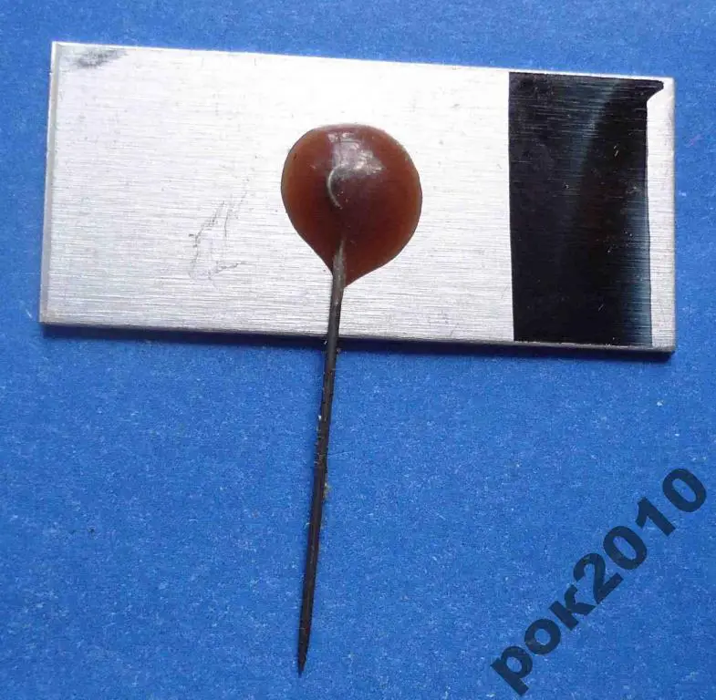 8 комсомольская конференция института Киев 1977 ВЛКСМ 1