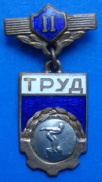 первенство ДСО Труд 2 место плавание