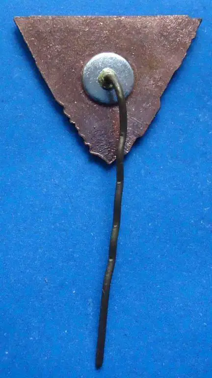 50 лет ССО 1972 ВЛКСМ 1