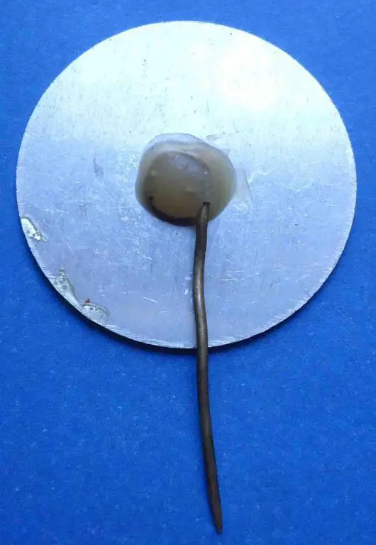 пионерия спорт вело туризм футбол гандбол 1