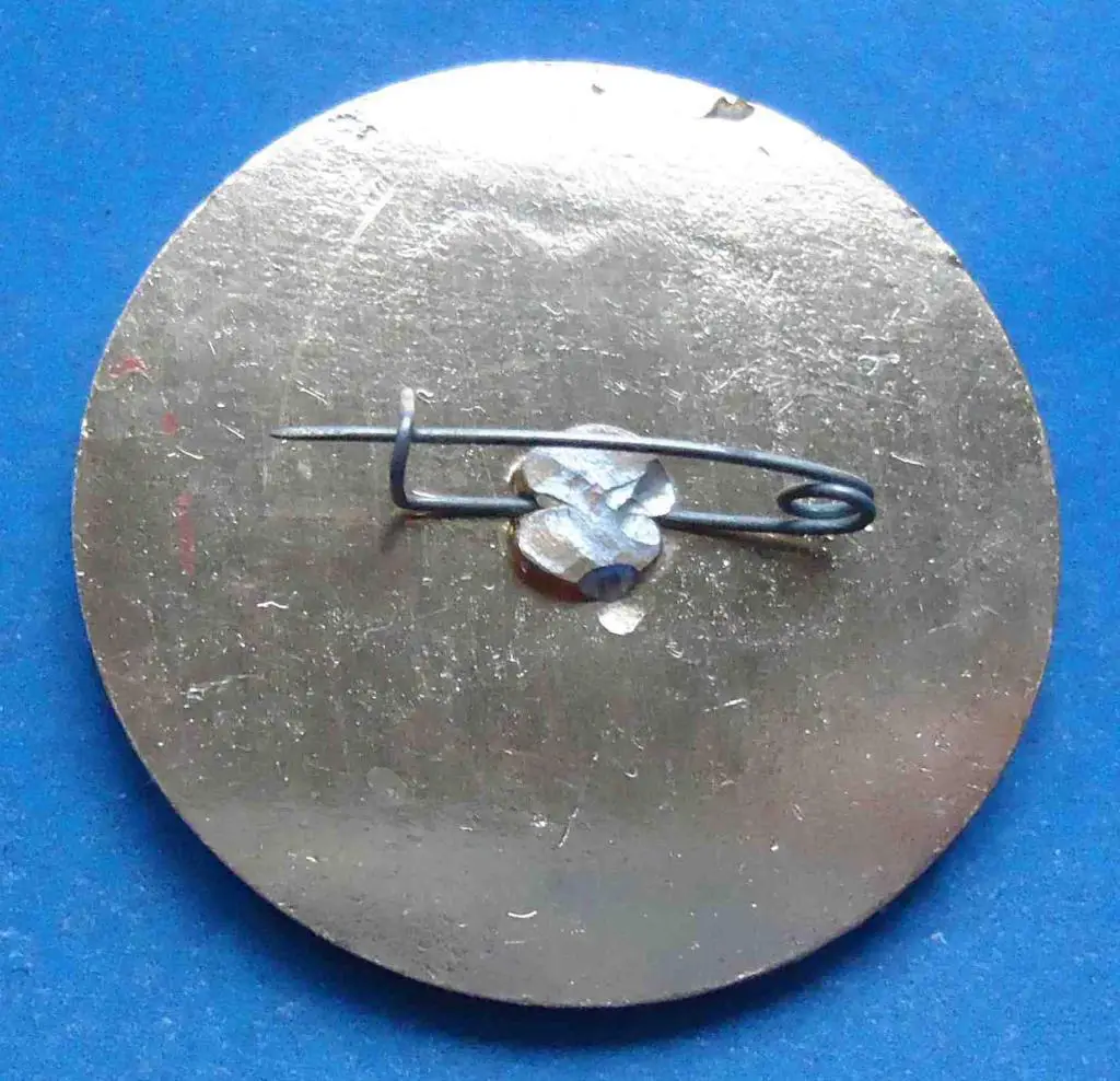 областной слет ЮИД победитель Донецкая область ГАИ 1