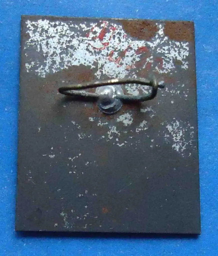 Пионерская Зорька 1